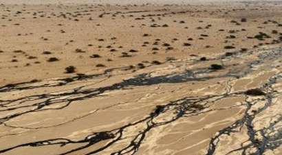 İsrail`de çevre felaketi