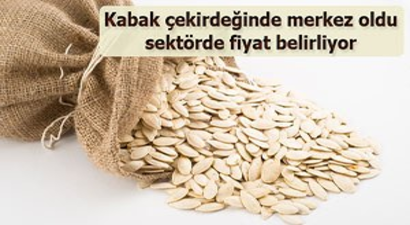 Kabak çekirdeğinin borsası Kayseri Tomarza oldu