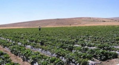 Kırsal Kalkınmada 8.Etap Tamamlandı