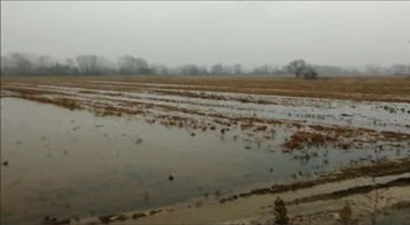 Sakarya`da Sağanak Yağış