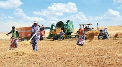 Tarımda Kayıt Dışı İstihdamla Mücadele Semineri Gerçekleştirilecek