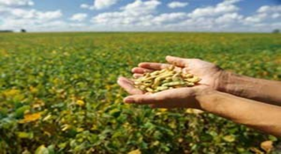 Sertifikalı Tohum İhtiyacını Gap Teknoparkı Karşılayacak