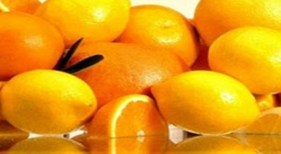 Türk narenciyesinin ihracat gücü artacak