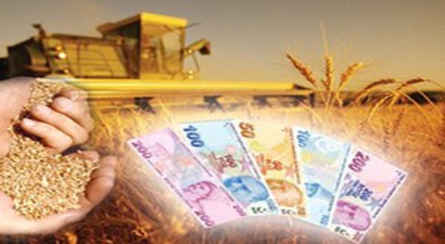 Organik Tarım Desteklemesinde Başvurular 27 Mart`a Kadar Sürecek