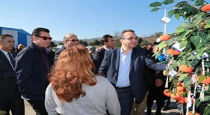 Bodrum`da `Mandalina Şenliği` Başladı