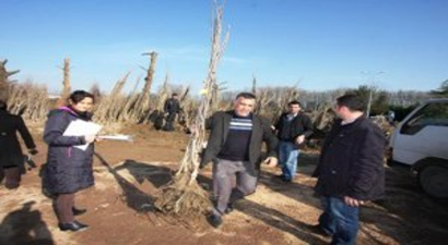 Çiftçiye 16 bin meyve fidanı