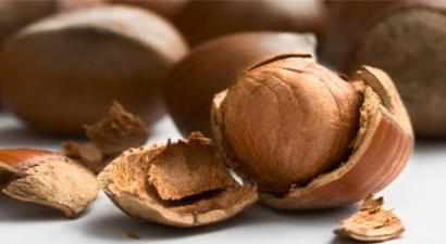 Fındığın kilogramı 17 liraya çıktı