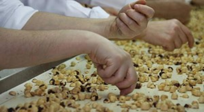 Fındık, istikrarlı üretimle yeni pazarlara girecek