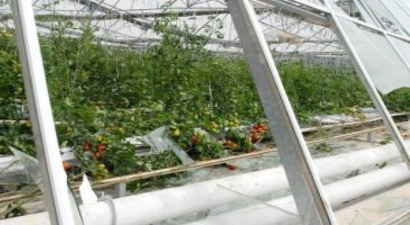 Kumluca`da Hortum Yüzlerce Serayı Yerle Bir Etti