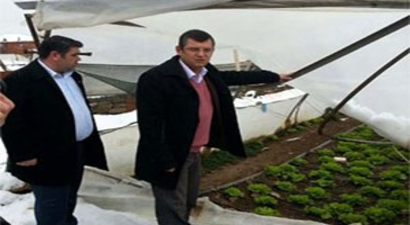 Kar Marul Seralarını Vurdu