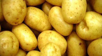 Kıbrıs`lı Patates üreticisine ek süre