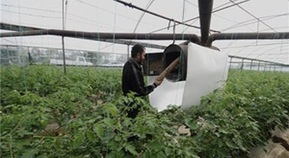 Antalya`da Seracılar Dondurucu Soğuklara Hazırlanıyor