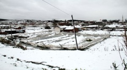 Seralarda Kar Nedeniyle Yaşanan Zararlar Tespit Ediliyor