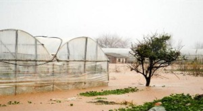 Muğla`da Seraları Su Bastı