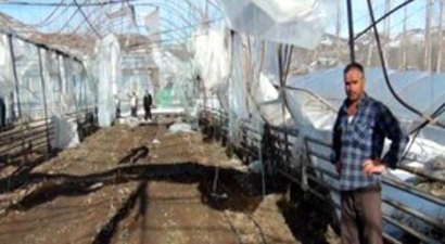 Simavlı Seracılar Borçlarının 1 Yıl Ertelenmesini İstedi