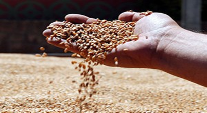 III. Uluslararası Tohumculuk Çalıştayı