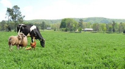 Trakya`nın Tarım ve Hayvancılık Sektörüne Katkısı
