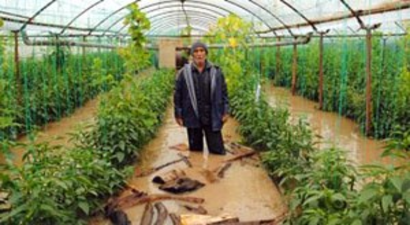 Buradan bir ürün elde etmek mümkün değil