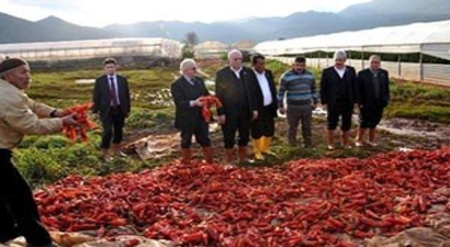 Üreticilerin Yarasını Sarmaya Çalışacağız