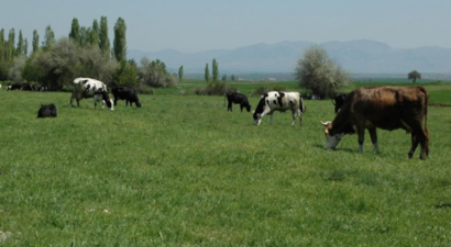 Konya 4 Fuara Ev Sahipliği Yapacak