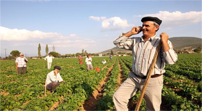 ÇİFTÇİLERİMİZE TARIMSAL DESTEKLER ve IPARD HİBELERİ HAKKINDA ÖNEMLİ DUYURU