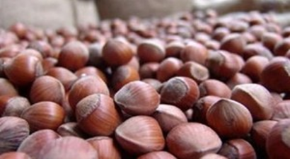 Alan Bazlı Gelir Desteği Ödeme İcmalleri Askıda