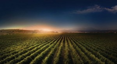 Huawei`den Türk Tarımına Bilişim Desteği