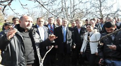 Çiftçilere Meyve Budama Kursu