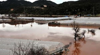 Antalya`daki Çiftçilere Zarar Ödeneği Sağlandı