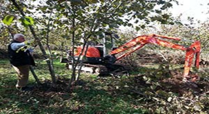 Fındık Dikim Alanlarının Yeniden Belirlenmesi