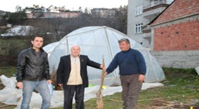 Küre`de Ceviz Fidanları Dağıtıldı