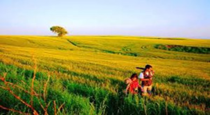 Şanlıurfa`da `Hassas Tarım Uygulaması` Projesi