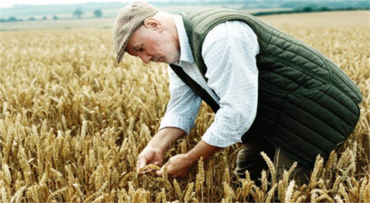 Türkiye`de 5.4 milyon kişi tarım alanında çalışıyor