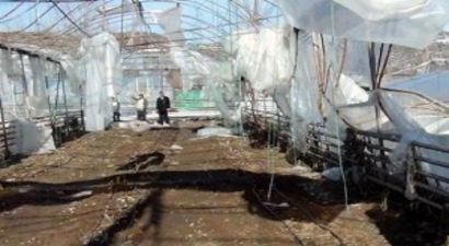 Seraları Zarar Gören Çiftçilere Orköy Kredisi