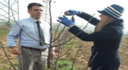 Çiftçilere Tarımsal Destekleme Eğitimleri