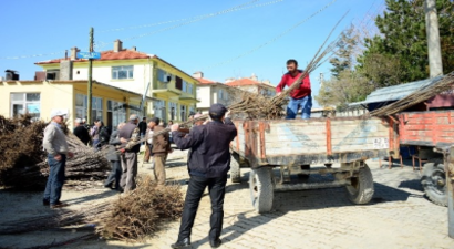 Büyükşehir Belediyesi`nden Tüm İlçelere Tarımsal Destek