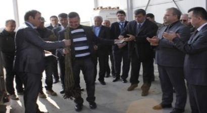 Havsa`da Üreticilere Meyve Fidanı Dağıtıldı