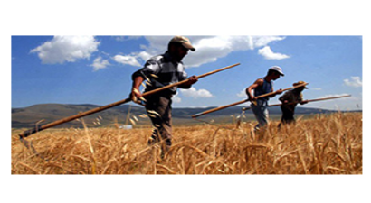 Pazaryeri`ndeki Çiftçiler Bilgilendirildi