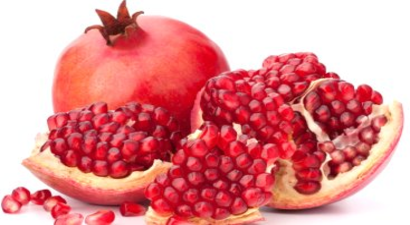 Urfalı Organik Nar Üreticileri Heyecanlı