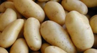 Patates neden 5 TL oldu? Büyük vurgun