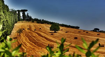 Afyonkarahisar`da 39 Kkydp Projesine 24 Milyon TL Hibe Desteği Verilecek