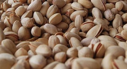 `Bu yıl Antep fıstığına doyacağız`