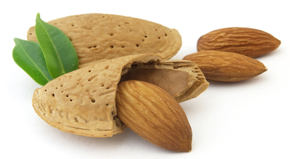 Kula Bademi Dünya Markası Olacak