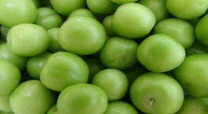 Çeyrek Altınla Yarışan Erik 10 Liraya Düştü