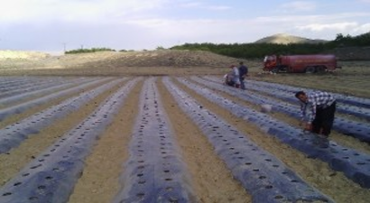 Daredende, Tarıma Değer Katanlar Ödülleri`nde Türkiye 3.sü Oldu