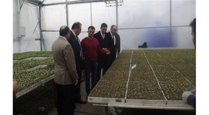 Vali Kaban Çaycuma`da Tarımsal İşletmelerde İncelemelerde Bulundu