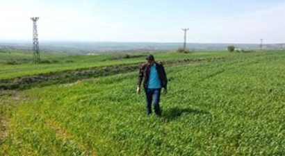 Malkara`da Süne Mücadelesi Başladı