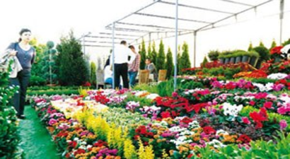 Süs Bitkileri Etiketli Olarak Pazarlanacak