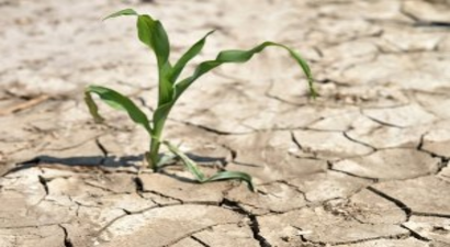 Tarım Toprakları Elden Gidiyor