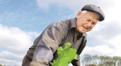 Tarımın geleceği miras hukukunda